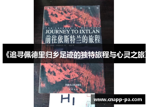 《追寻佩德里归乡足迹的独特旅程与心灵之旅》
