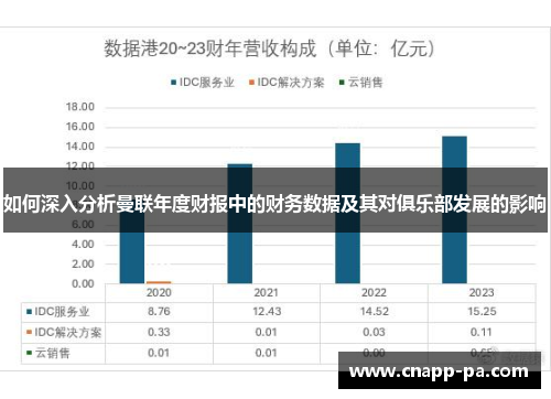 如何深入分析曼联年度财报中的财务数据及其对俱乐部发展的影响