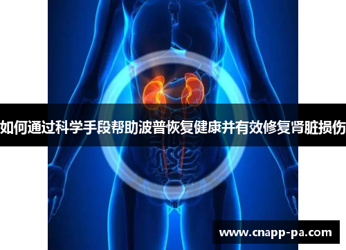 如何通过科学手段帮助波普恢复健康并有效修复肾脏损伤
