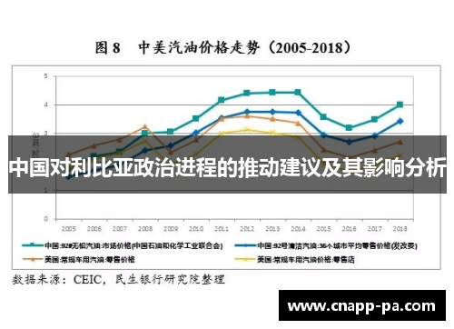 中国对利比亚政治进程的推动建议及其影响分析