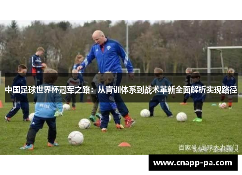 中国足球世界杯冠军之路：从青训体系到战术革新全面解析实现路径