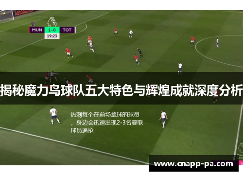揭秘魔力鸟球队五大特色与辉煌成就深度分析
