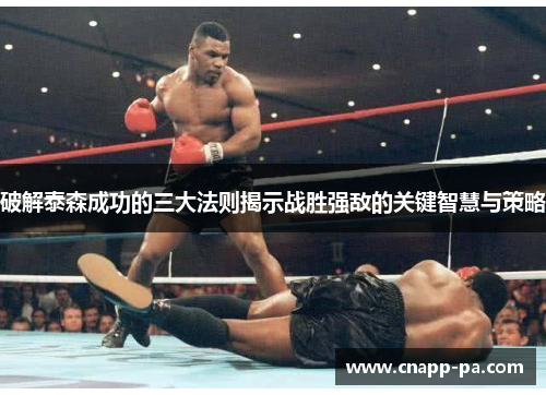 破解泰森成功的三大法则揭示战胜强敌的关键智慧与策略