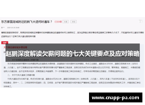 赵鹏深度解读欠薪问题的七大关键要点及应对策略