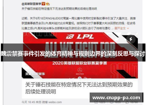 魏震禁赛事件引发的体育精神与规则边界的深刻反思与探讨