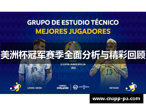 美洲杯冠军赛季全面分析与精彩回顾