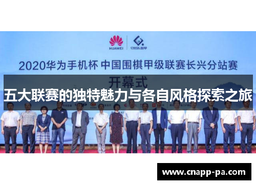五大联赛的独特魅力与各自风格探索之旅