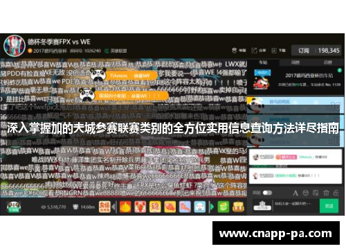 深入掌握加的夫城参赛联赛类别的全方位实用信息查询方法详尽指南