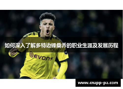 如何深入了解多特边锋桑乔的职业生涯及发展历程