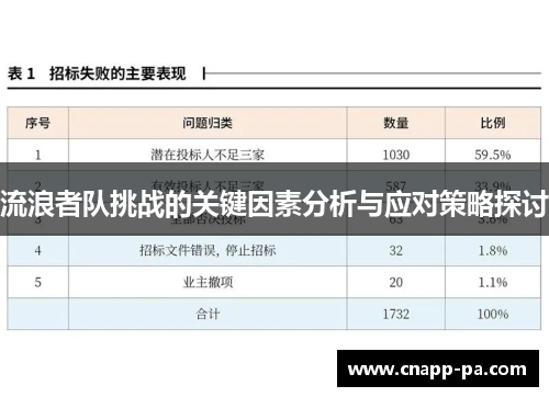 流浪者队挑战的关键因素分析与应对策略探讨