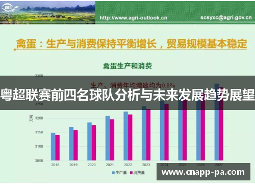 粤超联赛前四名球队分析与未来发展趋势展望