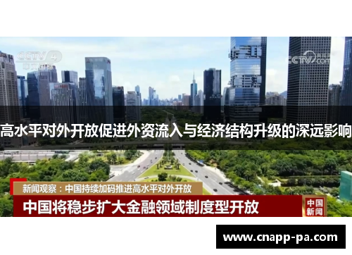 高水平对外开放促进外资流入与经济结构升级的深远影响