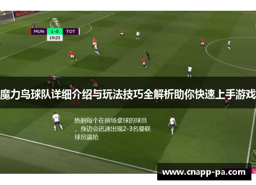 魔力鸟球队详细介绍与玩法技巧全解析助你快速上手游戏