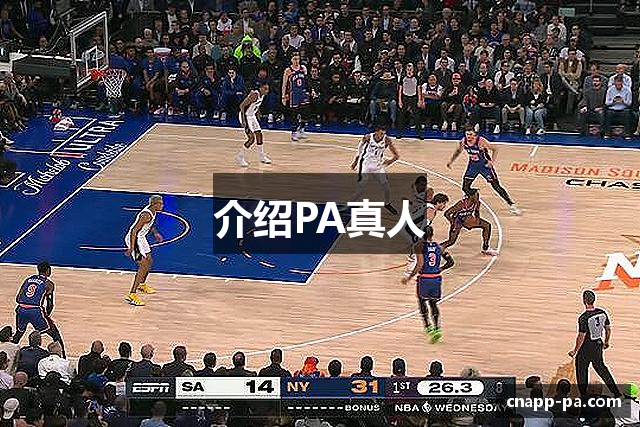 介绍PA真人
